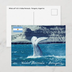 Postal Cría de ballena cola - Argentina
