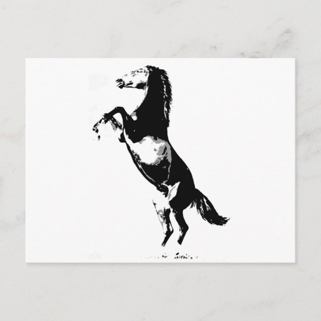 Postal Crianza de Caballos (Anverso)