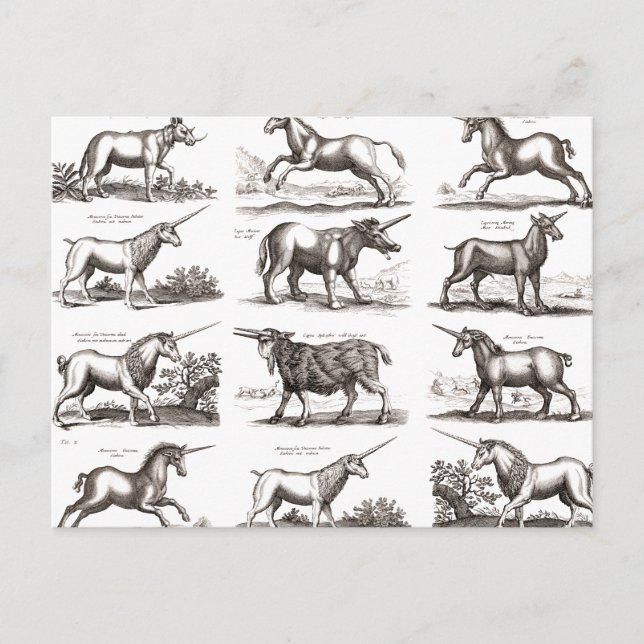 Postal Criatura Mítica Clásica Unicorniana (Anverso)