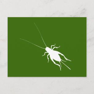 Postal Cricket Blanco