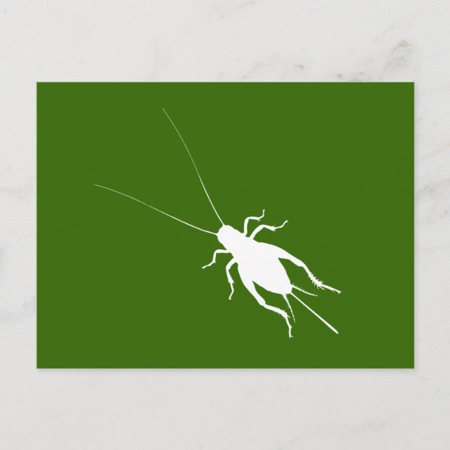 Postal Cricket Blanco (Anverso)