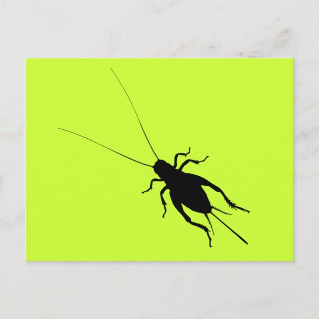 Postal Cricket negro (Anverso)