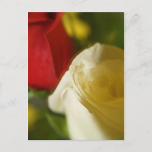 Postal "Crimson and Cream" (Anverso)