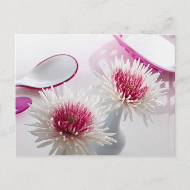 Postal Crisantemo (Anverso)