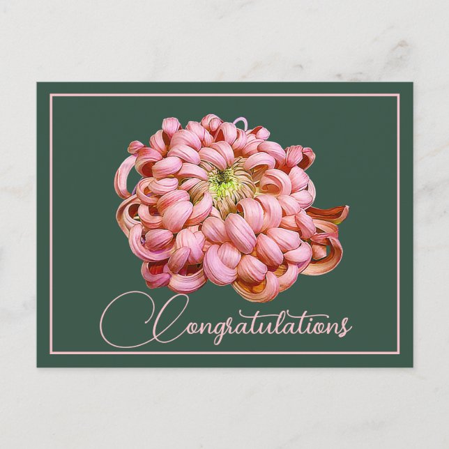 Postal Crisantemo Rosa Fondo Verde Felicidades (Anverso)