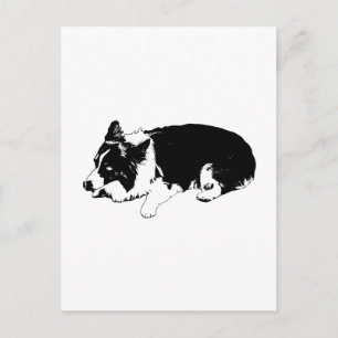 Postal crisp hola, corgi tranquilo