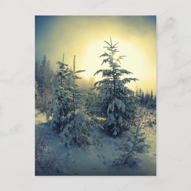 Postal Crisp Winter Morning (Anverso)