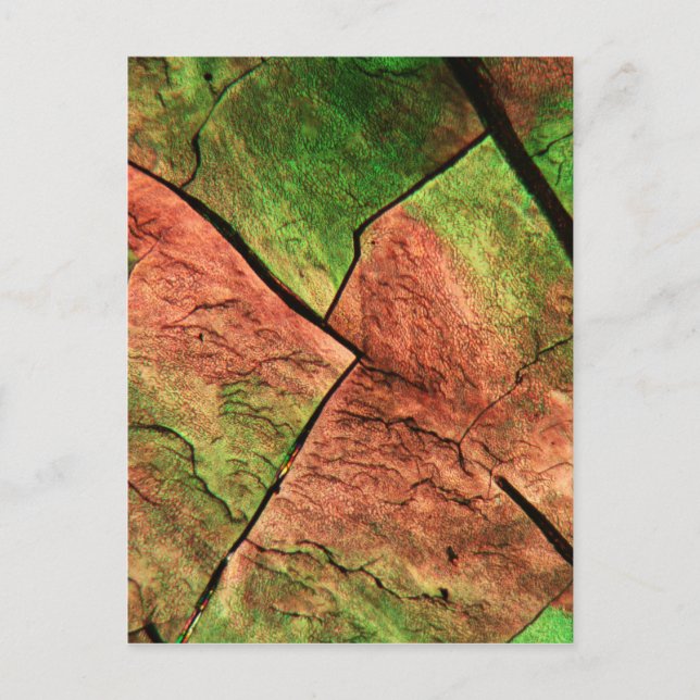 Postal Cristales de azufre bajo un microscopio (Anverso)