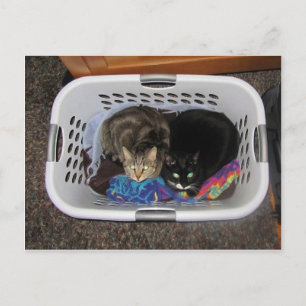 Postal Cristales de la cesta