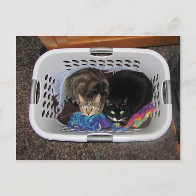 Postal Cristales de la cesta (Anverso)