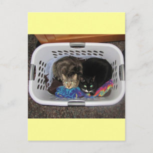 Postal Cristales de la cesta