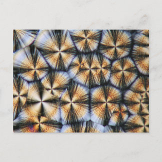 Postal Cristales de vitamina C bajo el microscopio