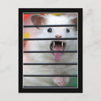 Postal Critter es un Mean Hamster