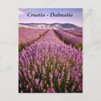 Postal Croacia - Dalmatia