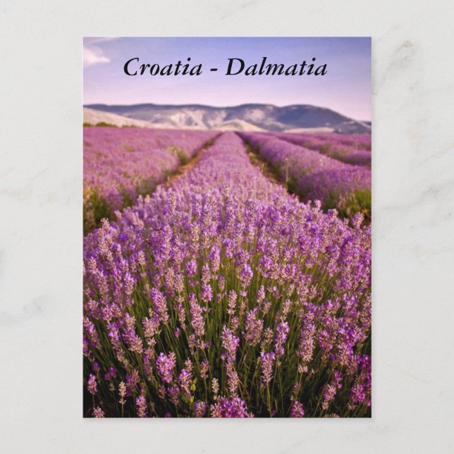 Postal Croacia - Dalmatia (Anverso)