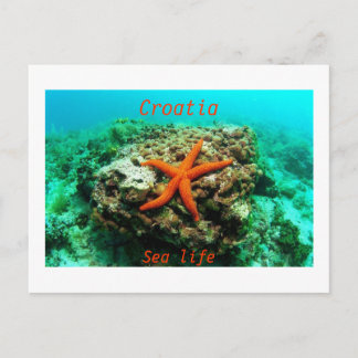 Postal Croacia - Vida marina