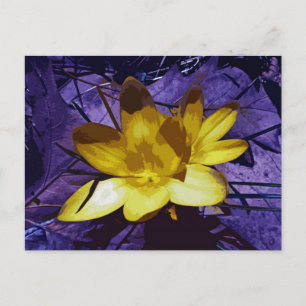 Postal Crocus amarillo sunshine