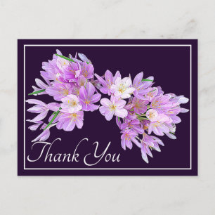 Postal Crocus Floral Moderno Rosa Púrpura Gracias Precios