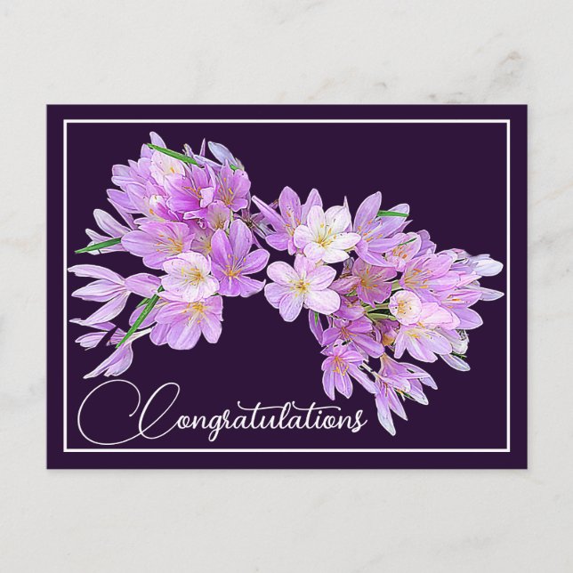 Postal Crocus Rosa/Púrpura Fondo Púrpura Felicidades (Anverso)