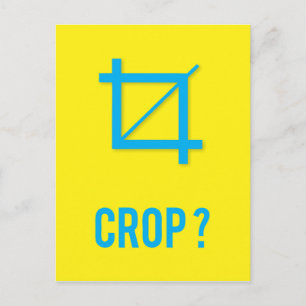Postal Crop Top?