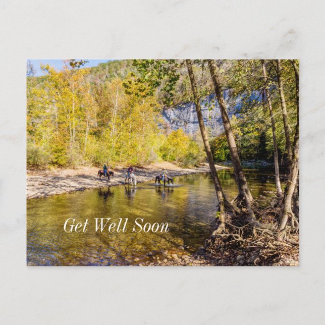 Postal Crossing The Buffalo River Get Well Postcard (Anverso)