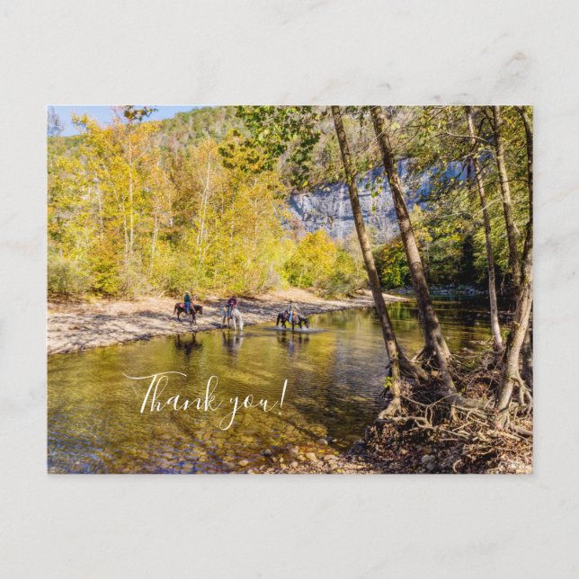 Postal Crossing The Buffalo River Thank you Postcard (Anverso)