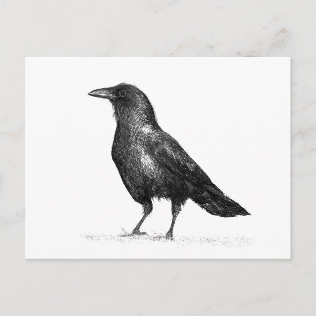 Postal Crow (Anverso)