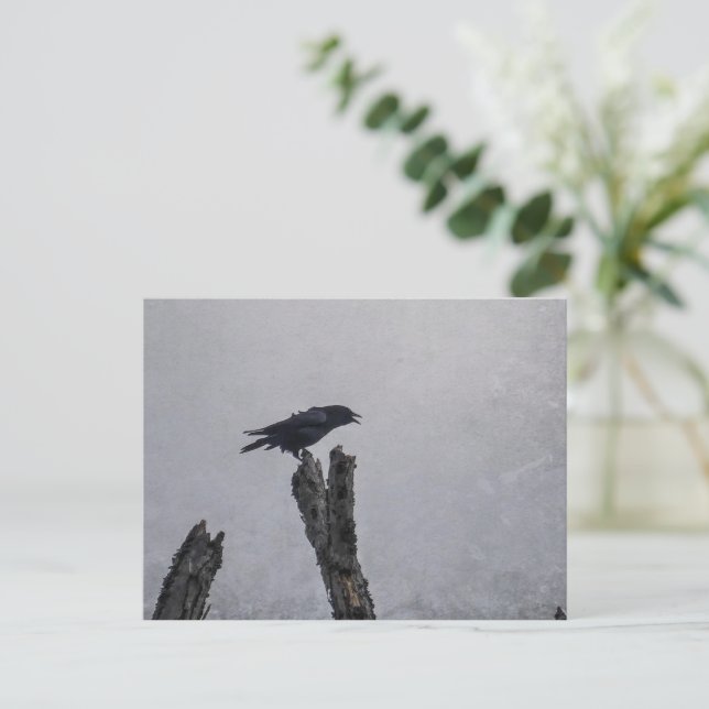 Postal Crow (Anverso de pie)