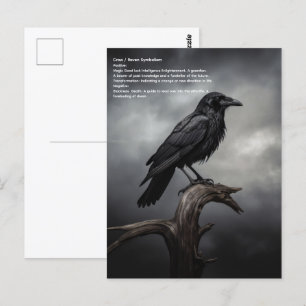 Postal Crow