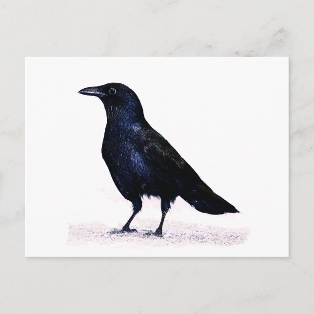 Postal Crow (Anverso)