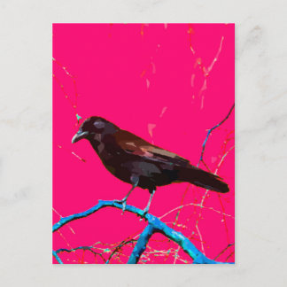 Postal Crow de raven rosado caliente