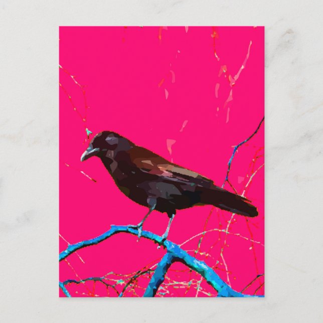 Postal Crow de raven rosado caliente (Anverso)