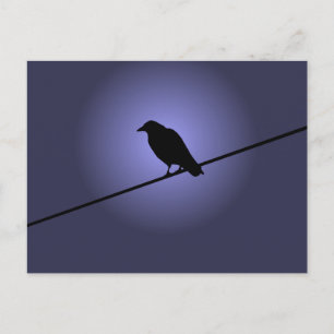 Postal Crow on a Telephone Wire