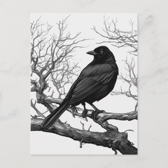 Postal Crow Perched on Bare Winter Branches (Anverso)