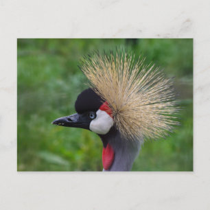 Postal Crowne Crane