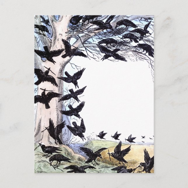 Postal Crows (Anverso)