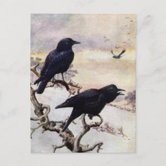 Postal Crows en Ilustracion invernal