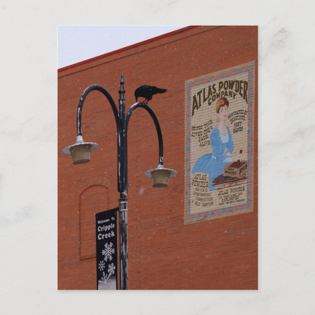 Postal Crows y Dinamita (Anverso)