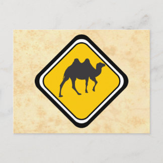Postal Cruce de camellos
