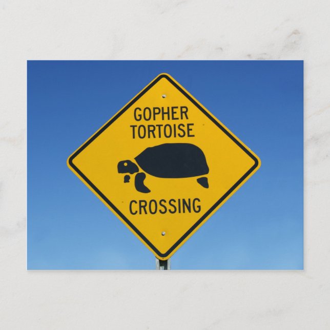 Postal cruce de gopherías (Anverso)
