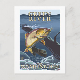 Postal Cruce de la pesca de trucha - Río Verde, WA