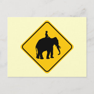 Postal Cruce del piloto del Elephantback