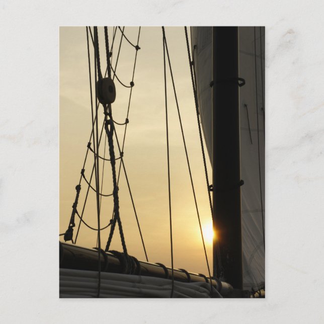 Postal Cruceros Sunset (Anverso)