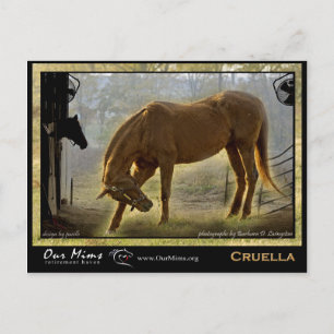 Postal Cruella Post Card