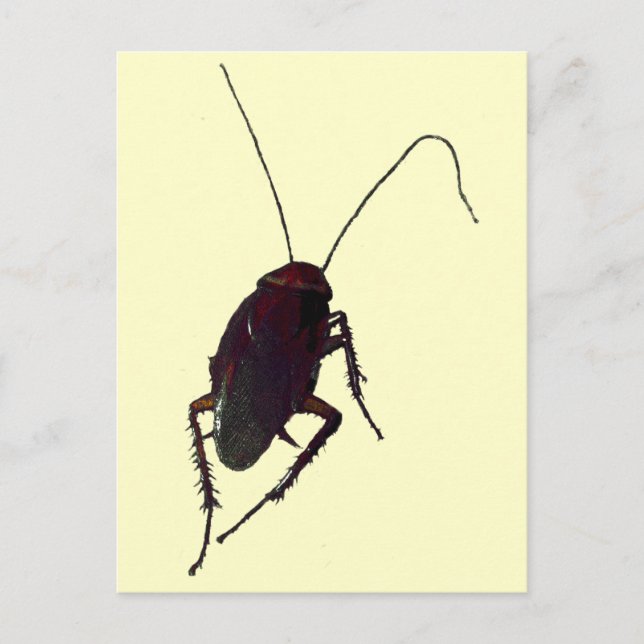 Postal Crunchy Cockroach (Anverso)