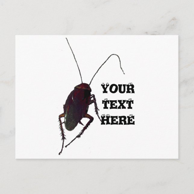 Postal Crunchy Cockroach (Anverso)