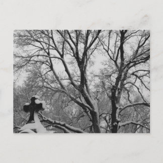Postal Cruz de nieve