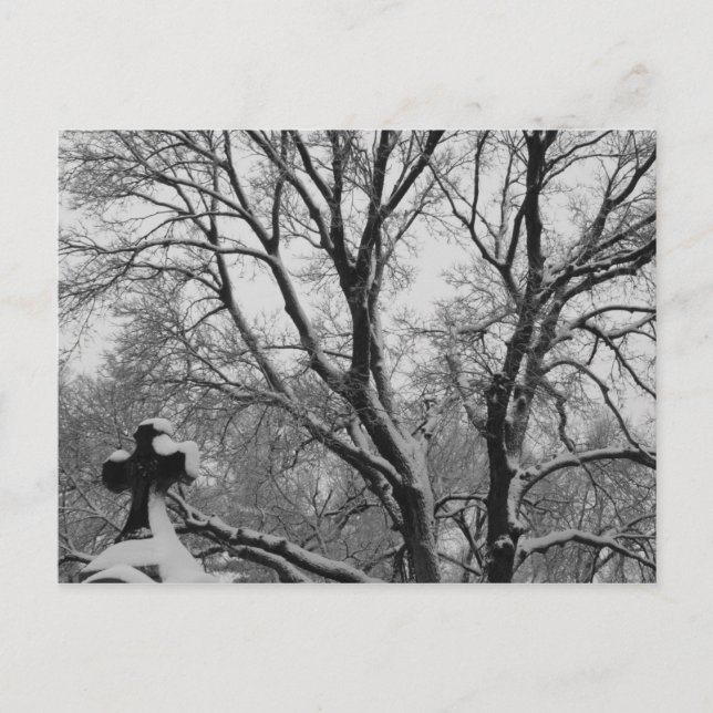 Postal Cruz de nieve (Anverso)