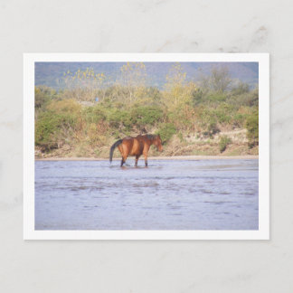 Postal cruzar el río