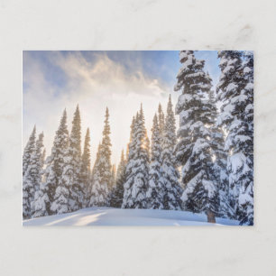 Postal Crystal Mountain Ski Resort, cerca de Mt. Rainier 